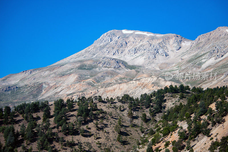 阿克达格峰和杜松林