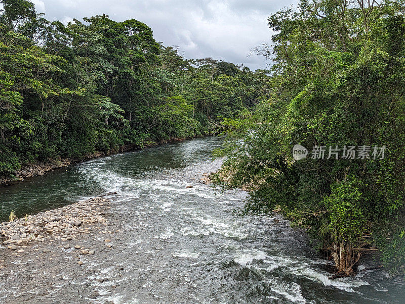 茂密的雨林，包括白色和红色的红树林，沿着太平洋沿岸哥斯达黎加塔科尔斯河的一条支流