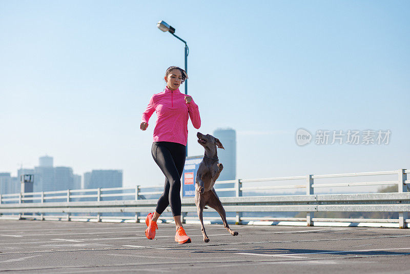 活跃的年轻女子与她的狗在她旁边跳跃的空停车场跑步