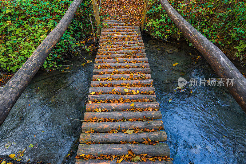 森林里一条河上的木桥