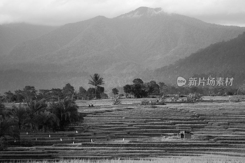 日落或日出的柔和光线突出了山峰，并产生了戏剧性的阴影