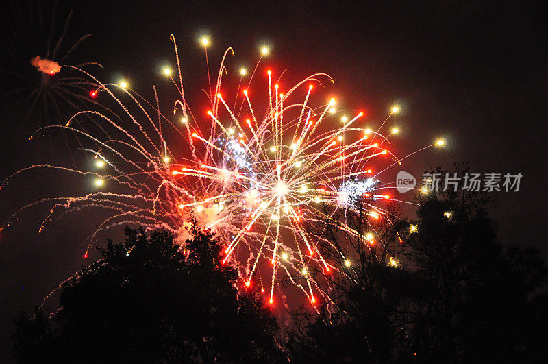 新年前夜的魔术:在佛罗里达迪斯尼乐园魔法王国的剪影树后的烟火