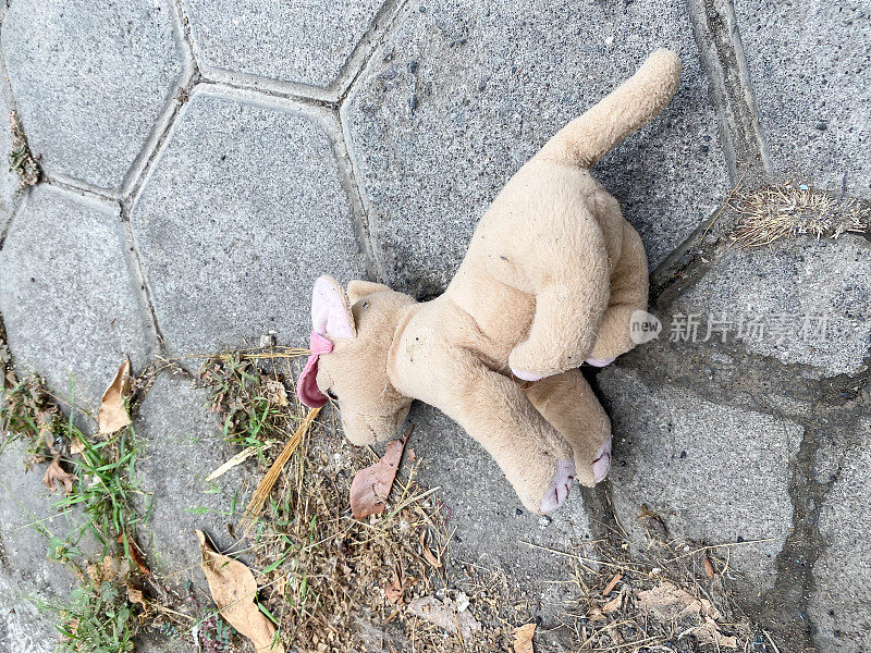 废弃的小狗娃娃掉在路上。被遗弃在街上的孩子们的玩具。