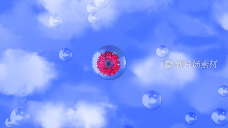 泡泡和花朵映衬着天空