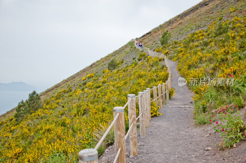 通往维苏威山顶的道路