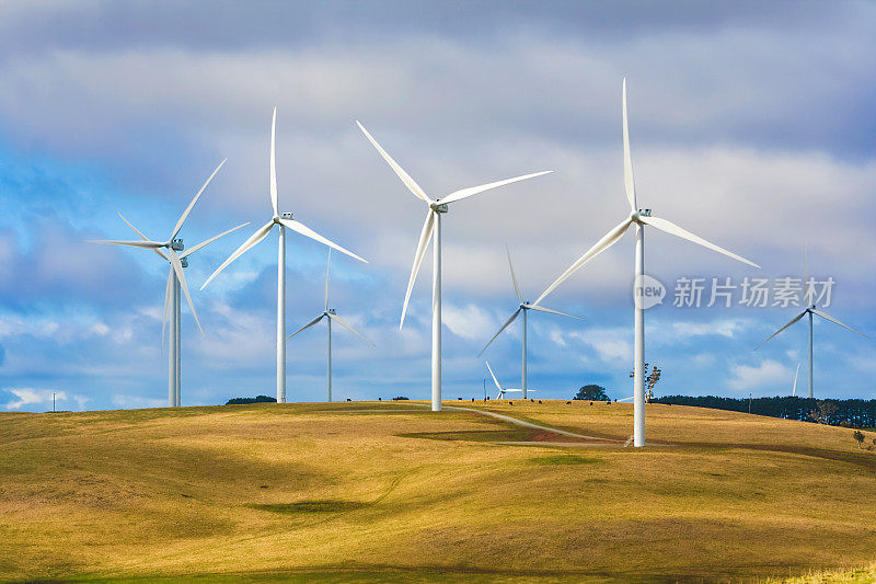 风力涡轮机在养牛场创造可再生能源