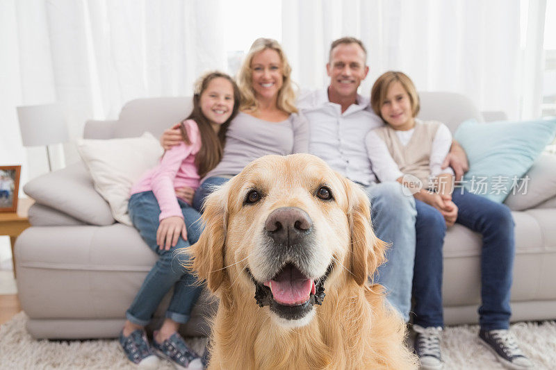 一家人坐在沙发上，前景是一只金毛猎犬