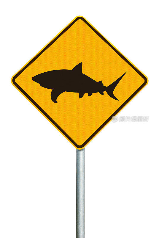 鲨鱼发现-橙色钻石警告标志在白色背景