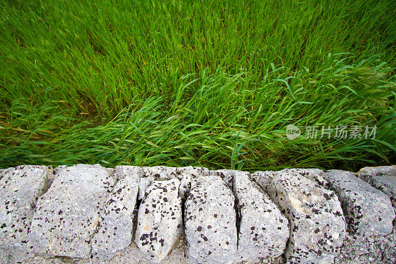 石头墙栅栏和绿色的草吹在相反的方向