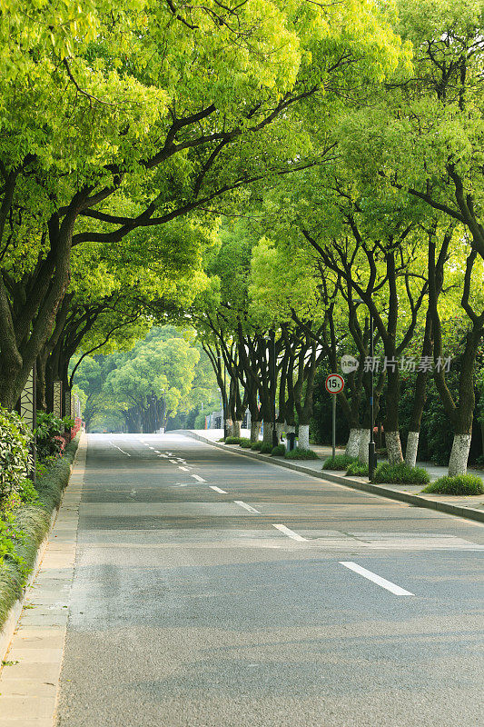 通往中国远郊的弯弯曲曲的道路