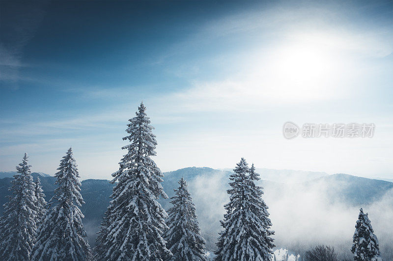 冬天的风景