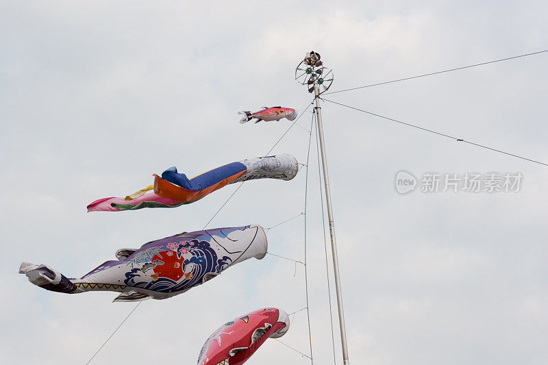 鲤鱼等浮电缆