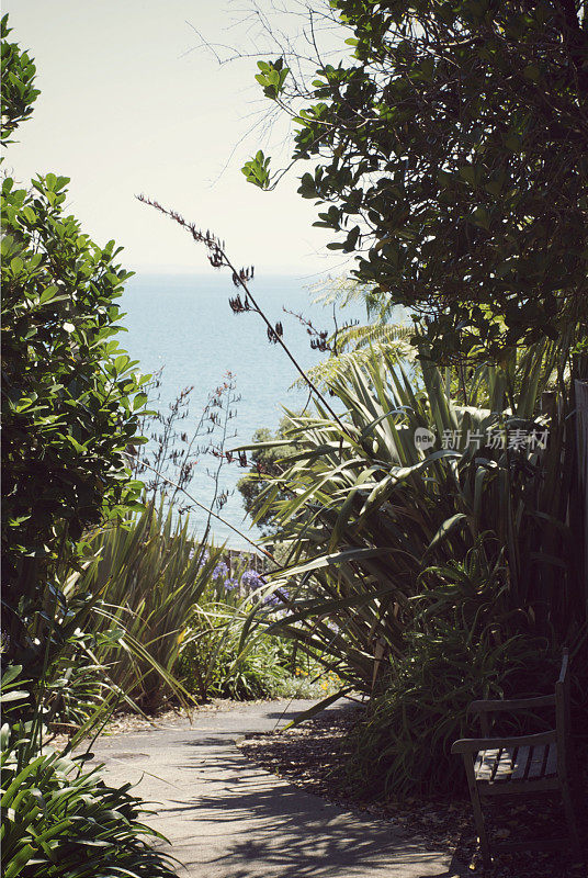 穿过Harakeke(新西兰亚麻)到Beach的路径
