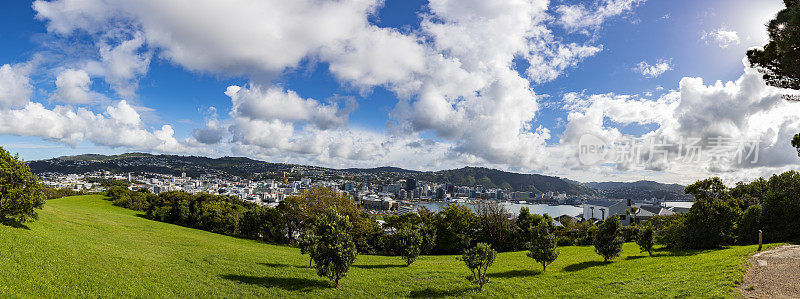 俯瞰新西兰惠灵顿的全景