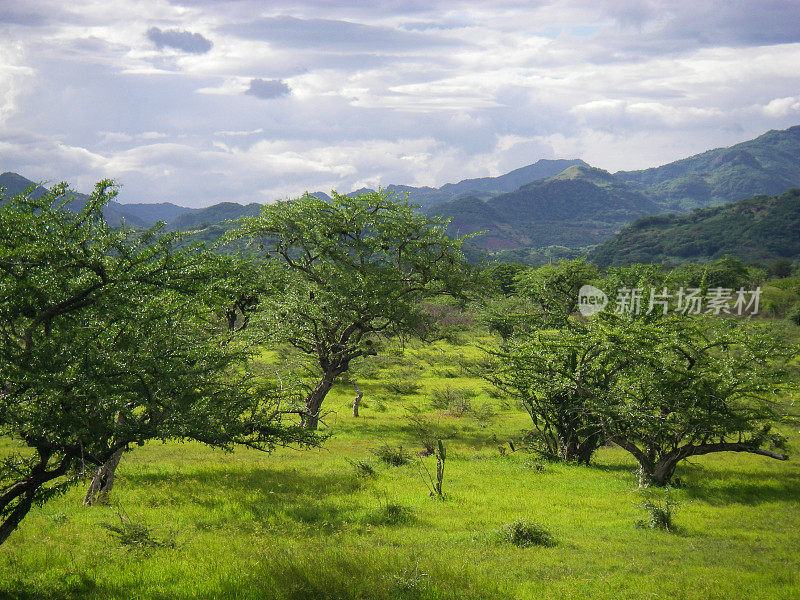 太平洋干燥海岸热带草原雨季高尔夫丰塞卡洪都拉斯