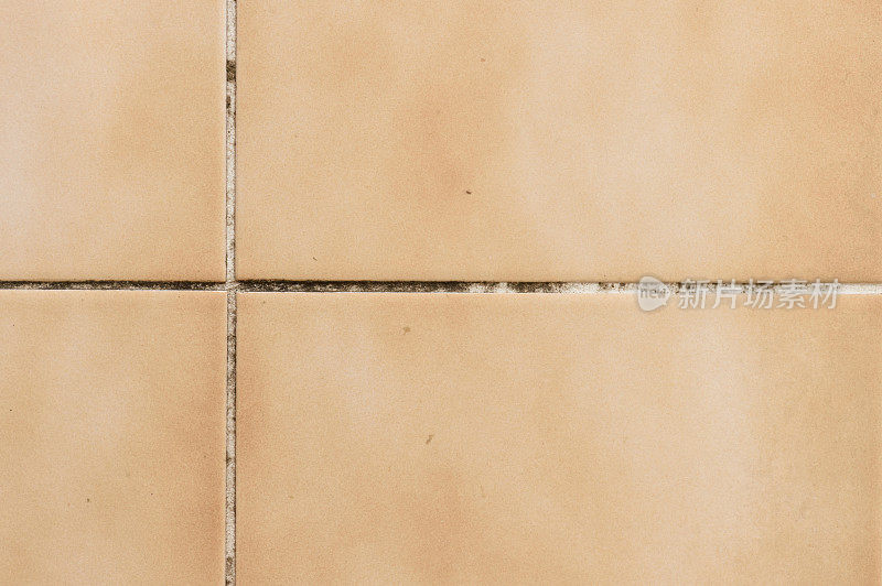 真菌瓷砖的细节
