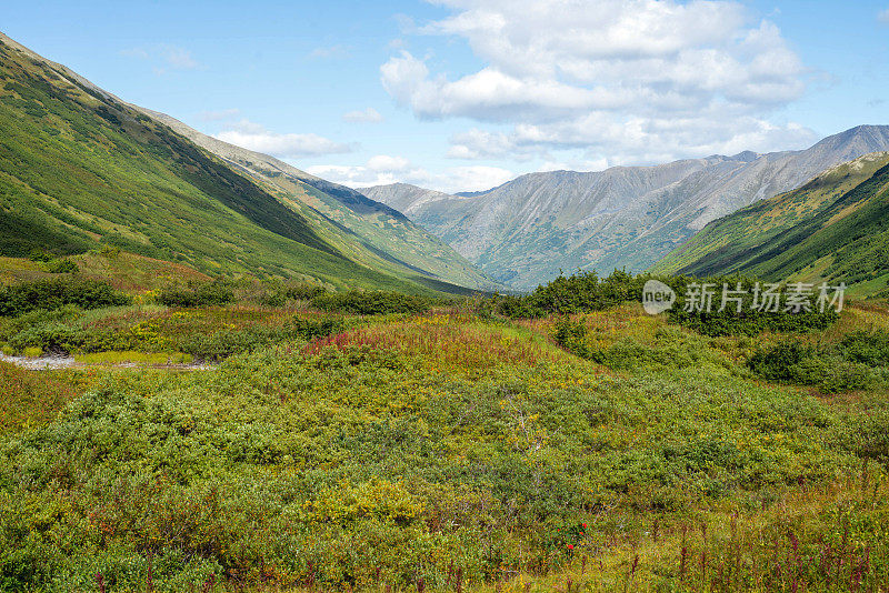 有山脉的阿拉斯加风景