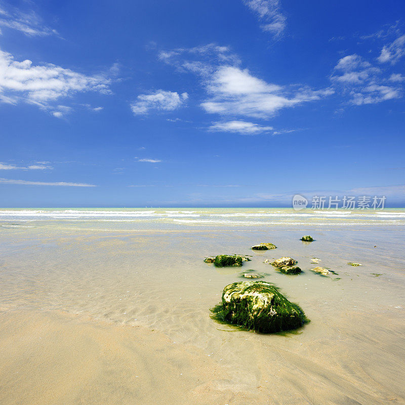 沙滩上的蓝天和布满海藻的岩石