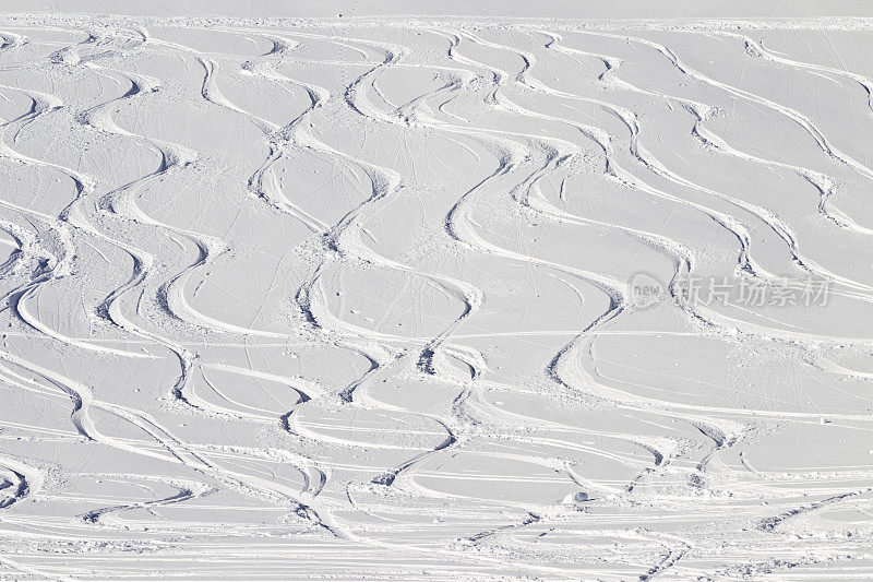 粉状雪中的滑雪道