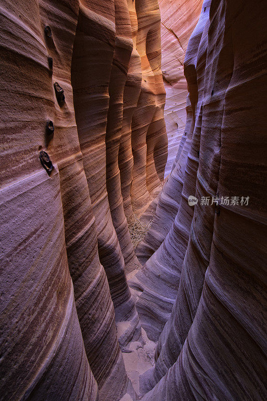 斑马插槽峡谷