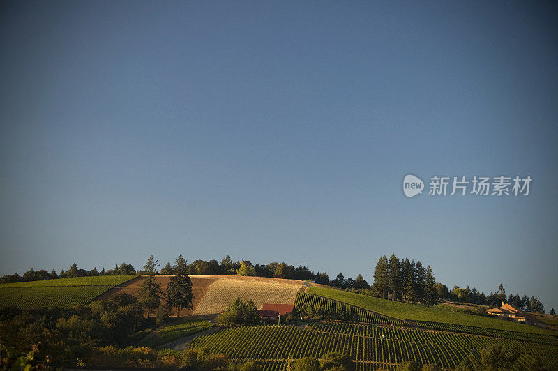 风景如画的俄勒冈州的风景