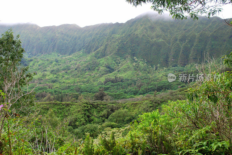 夏威夷瓦胡岛的库劳山脉