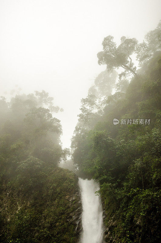 雨林云中的瀑布(垂直)
