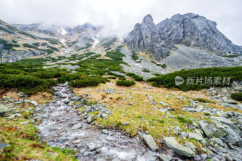 高山