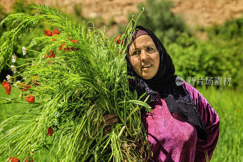在花园里干活的摩洛哥妇女