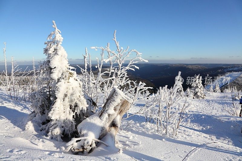 冬天的风景与雪在黑森林