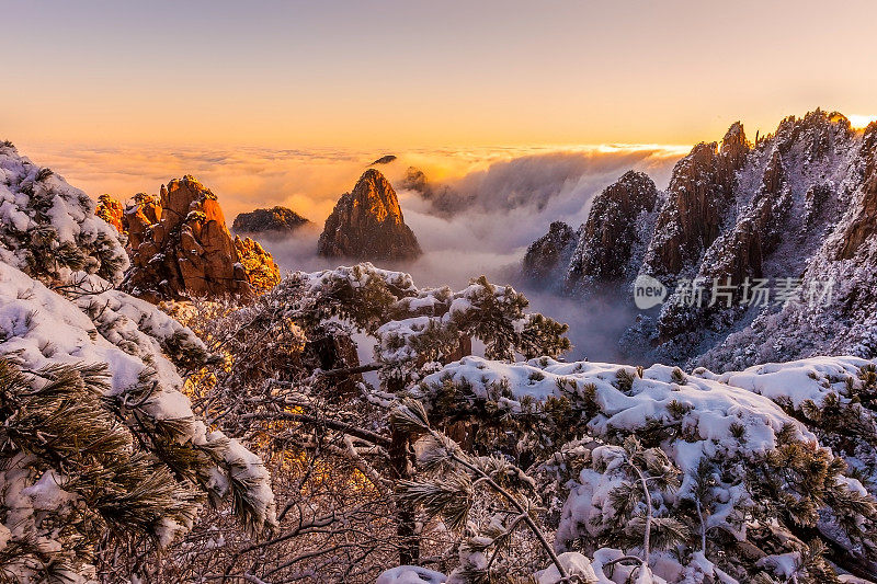 太黄山