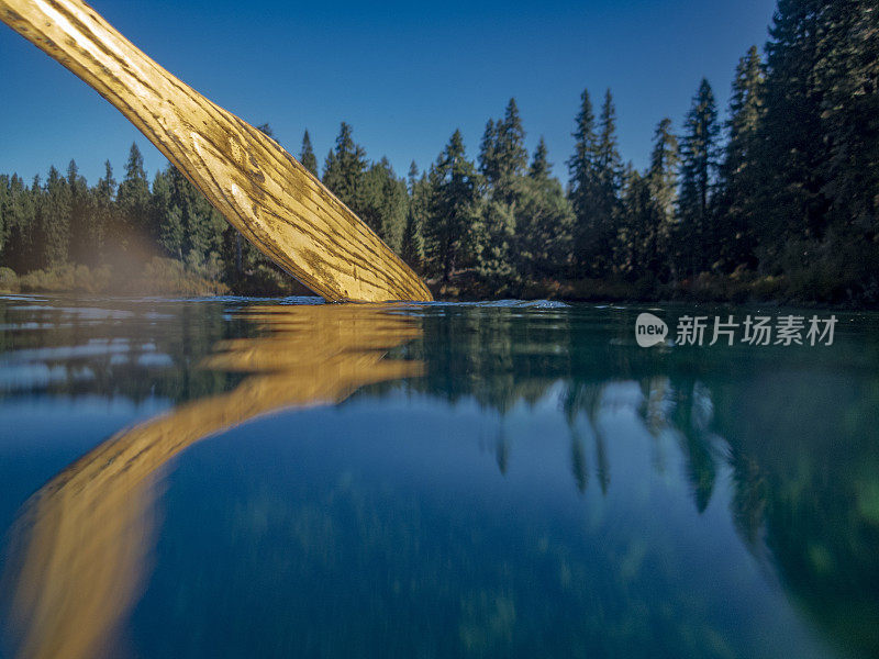 木桨从水位在俄勒冈湖与反射