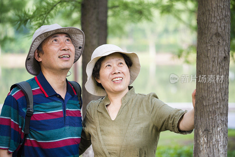 亚洲一些旅行