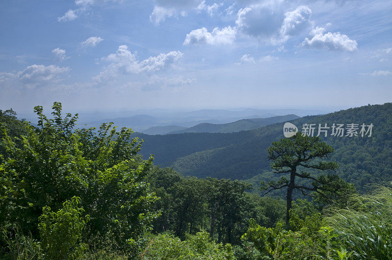 蓝岭山脉