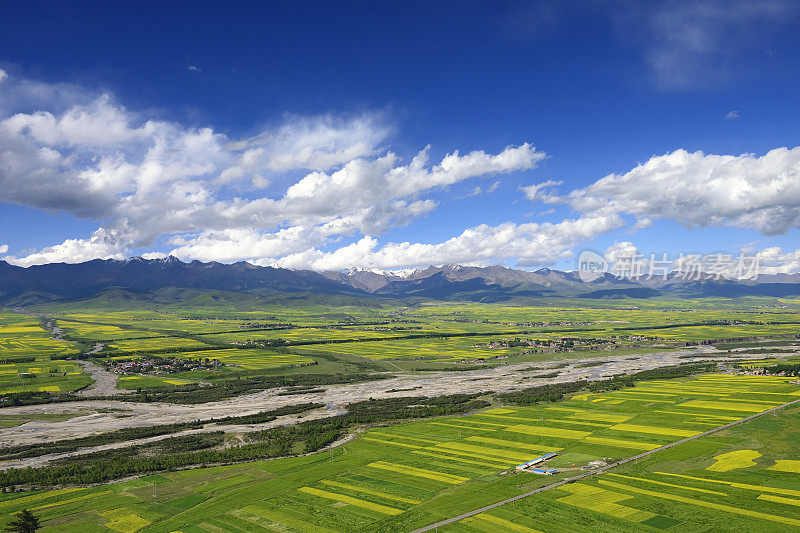 农村的场景