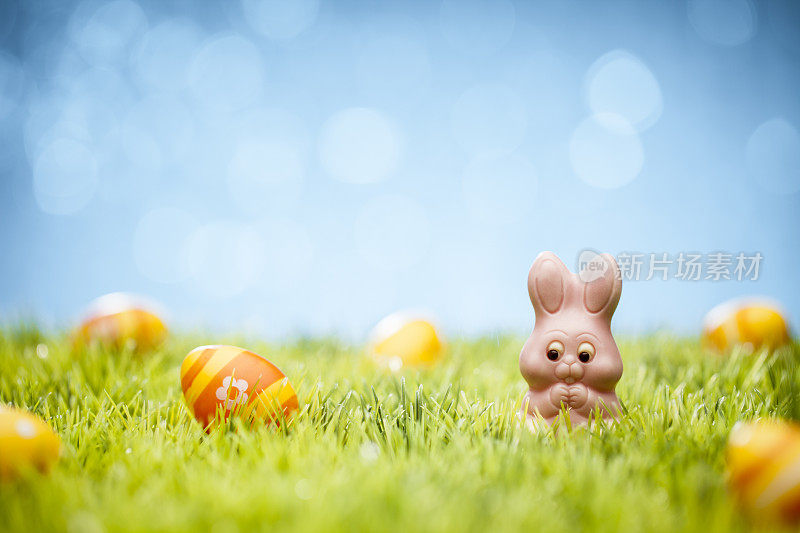 复活节彩蛋和糖果兔子-绿草散焦散焦
