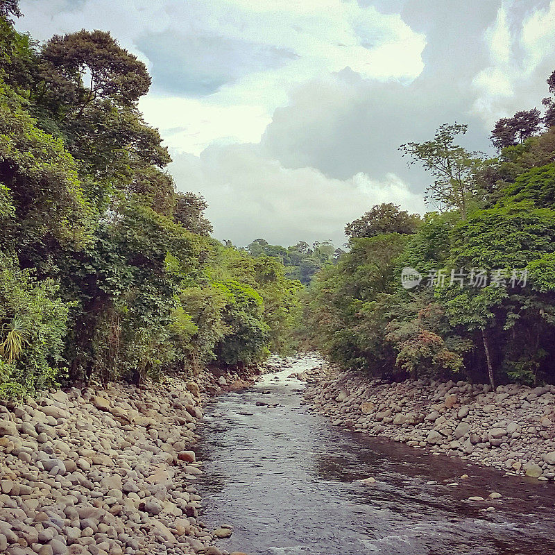 哥斯达黎加风景河在自然景观