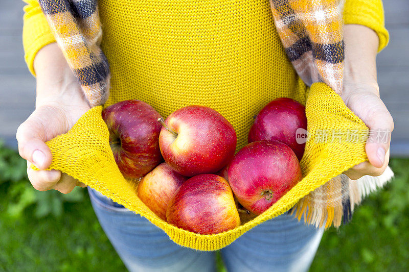 农事、园艺、收获、秋收和人们的观念——女人带着苹果在秋天的花园里