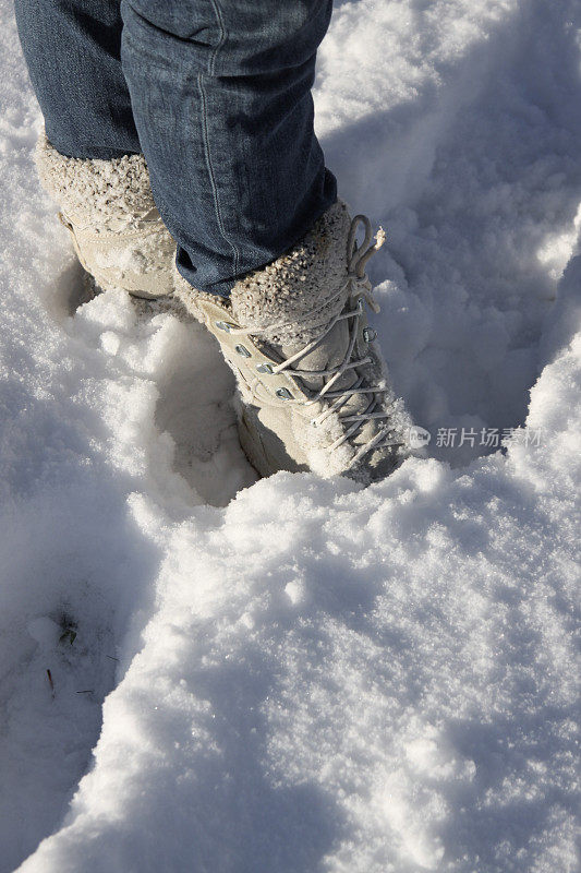 在雪中玩耍