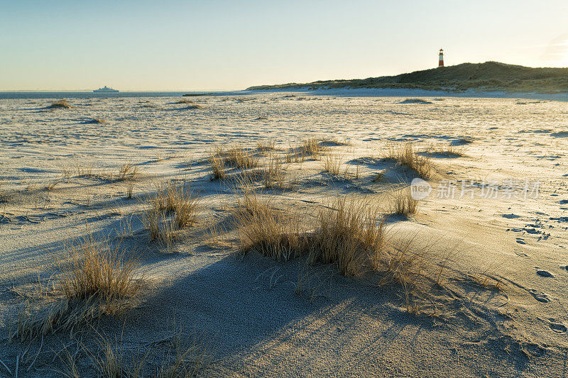 希尔特岛北部的埃伦伯根的灯塔和带有马兰草的沙丘