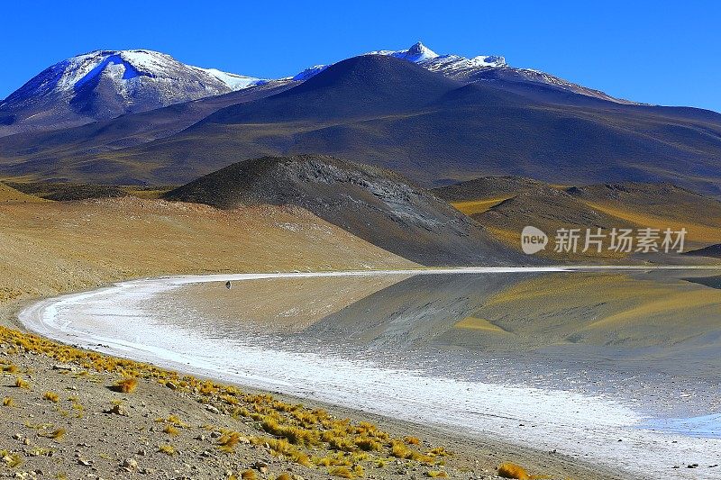 拉古纳-图亚克托湖和Miniques火山-绿松石湖盐反射和田园般的阿塔卡马沙漠，火山景观全景-圣佩德罗德阿塔卡马，智利，Bolívia和阿根廷边境