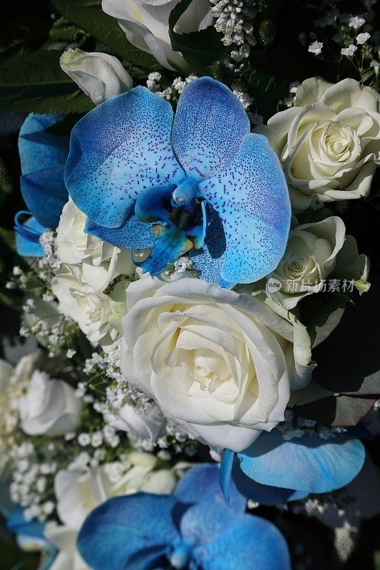 由白玫瑰和蓝色兰花组成的伴娘花束