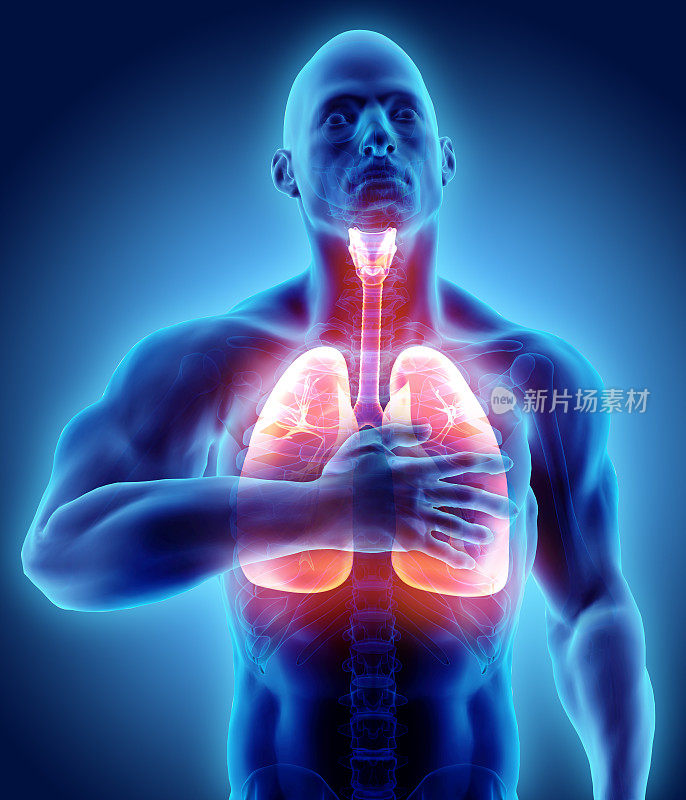 3d插图肺和胸痛，医疗保健。