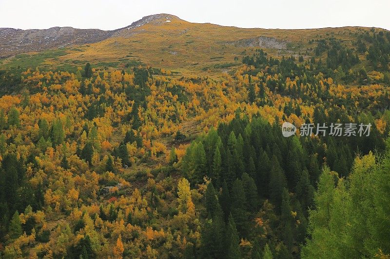 奥地利蒂洛尔阿尔卑斯山的金秋，齐勒塔尔山谷上田园诗般的风景