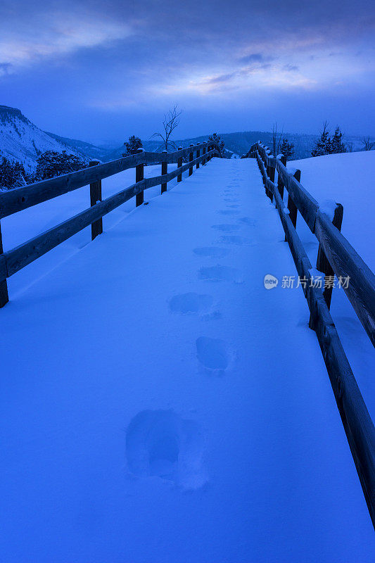 雪地上的脚印通向远处的黄石公园