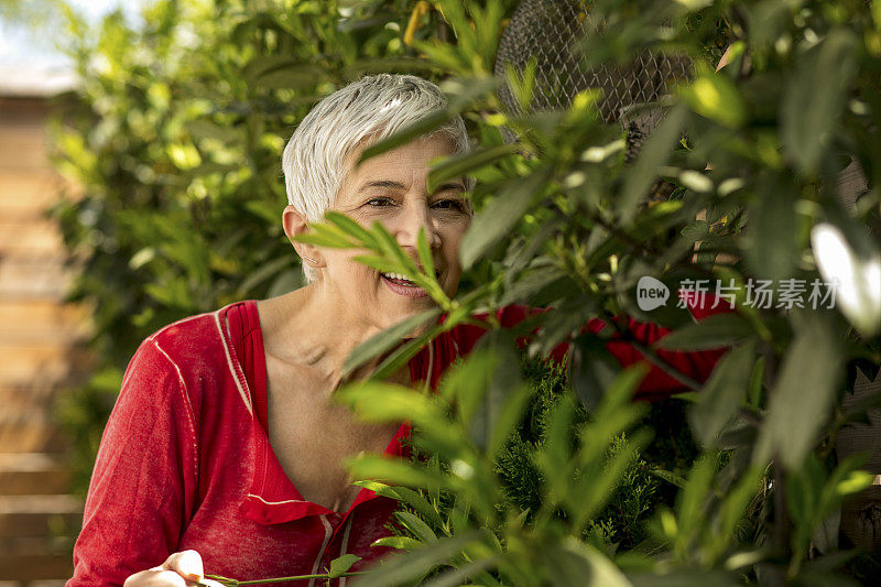 在后院的灰白头发的女人