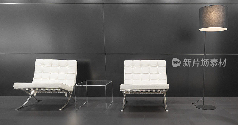 现代巴塞罗那设计的椅子和台灯
