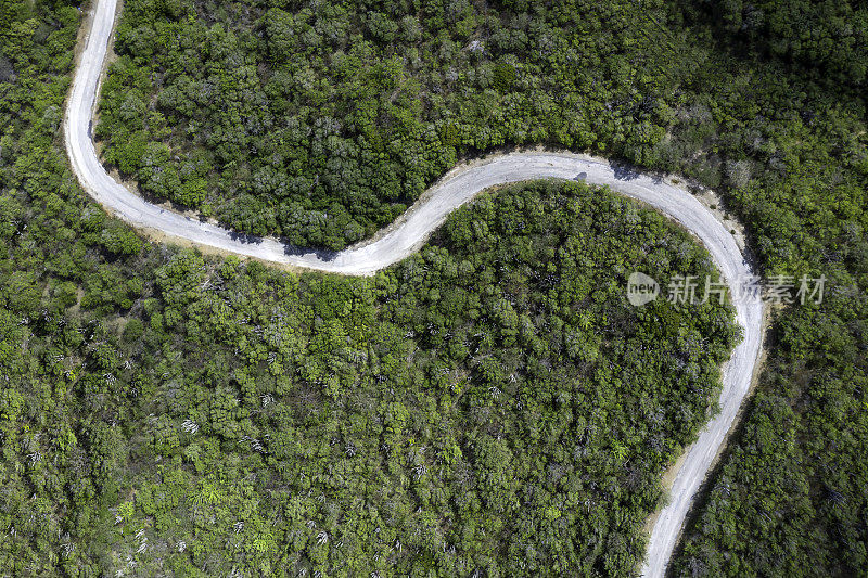 鸟瞰图的蜿蜒道路在仙人掌森林，库拉索