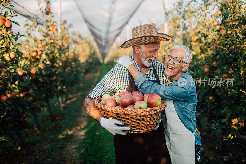 一对夫妇拿着一篮子苹果笑着