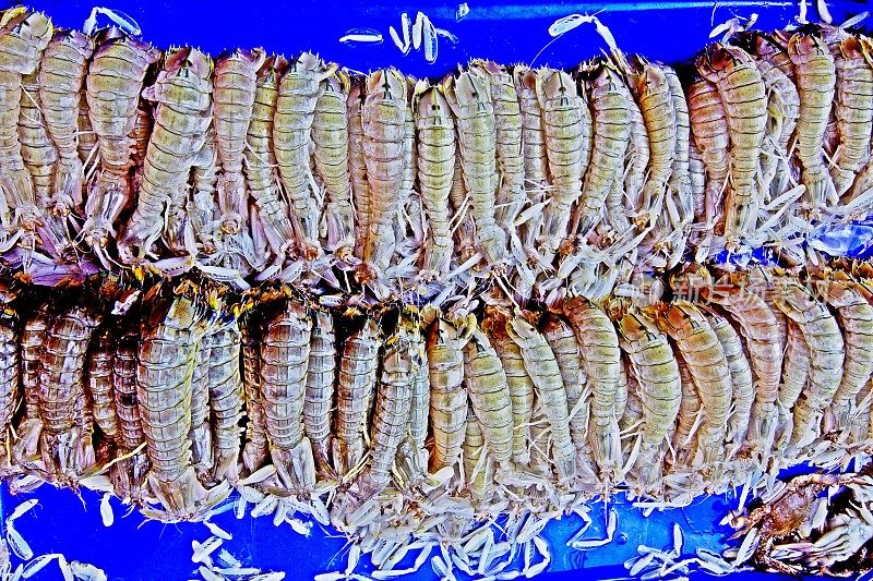 冰曼谷鱼市上的螳螂虾。